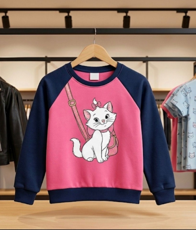 CASACO MOLETOM FLANELADO JUVENIL DE PERSONAGENS RAGLAN 4/16