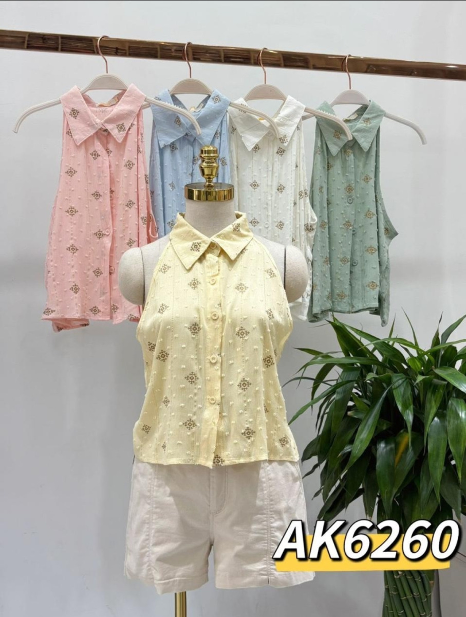 BLUSA IMPORTADA P/GG 6260-